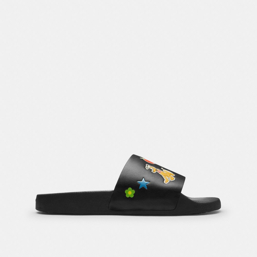 Pool Slide In Signature Canvas