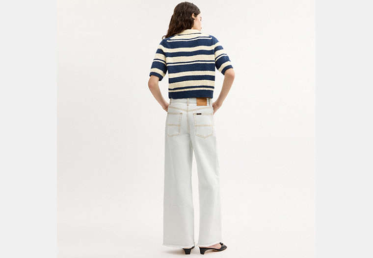 Striped Knit Polo