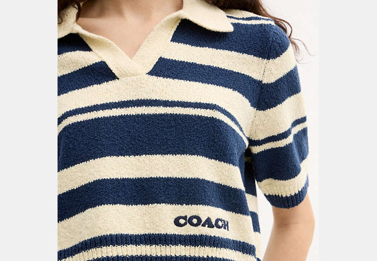 Striped Knit Polo