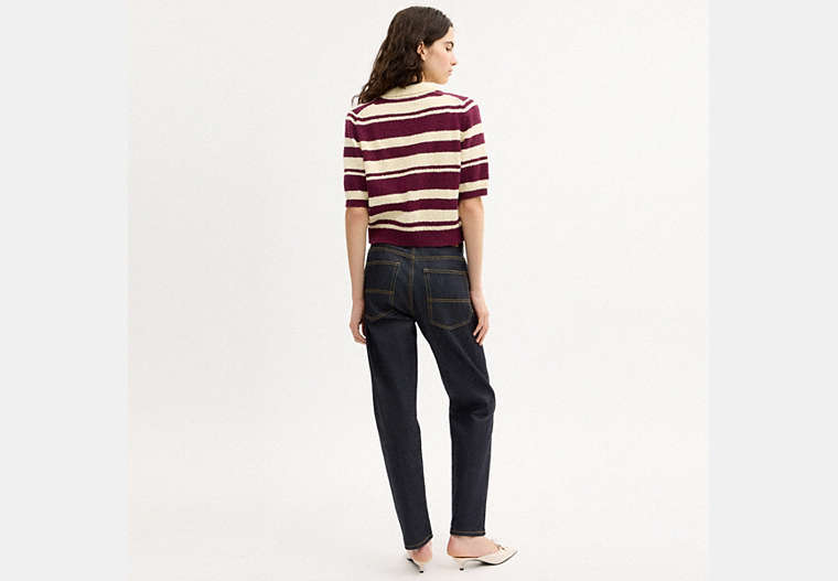 Striped Knit Polo