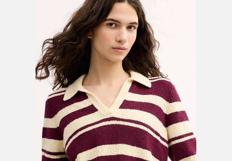 Striped Knit Polo