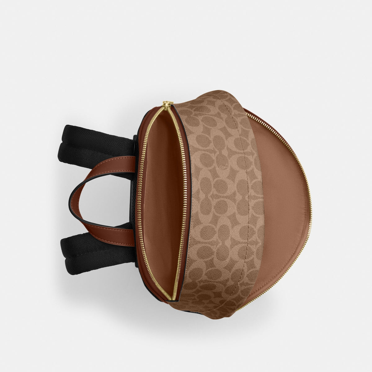 Taylor Small Backpack In Signature Canvas