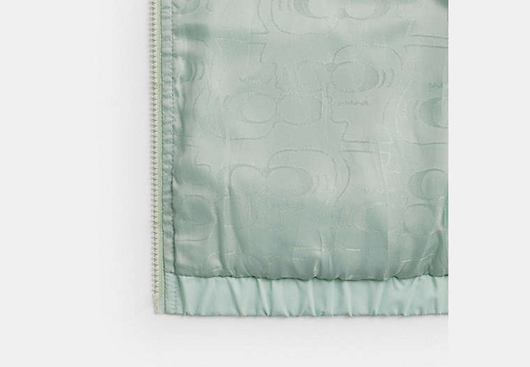 Coach | Brain Dead Star Cropped Windbreaker In Recycled Polyamide