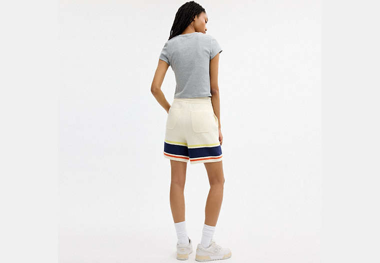 Coach | Brain Dead Striped Knit Shorts