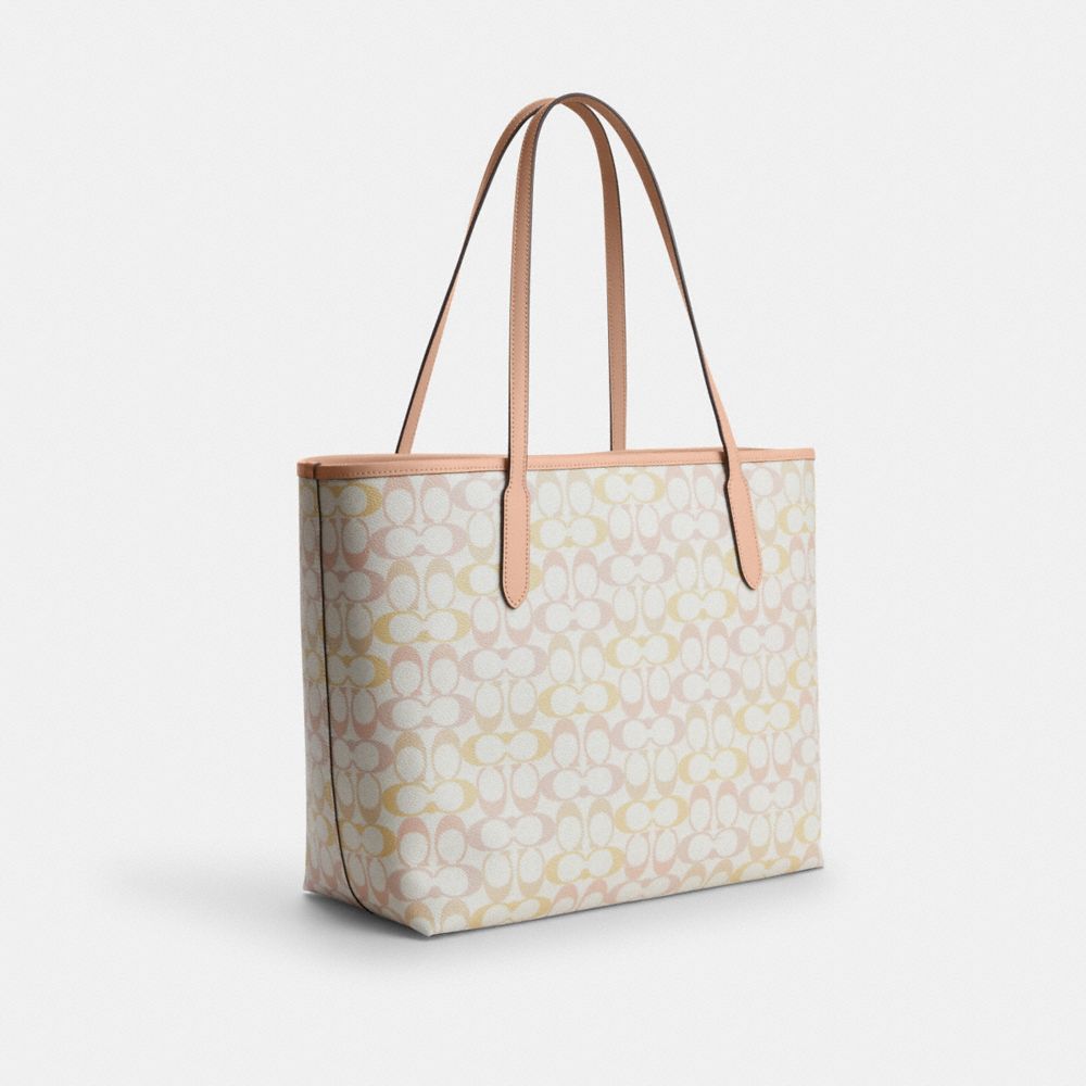City Tote Bag In Signature Canvas