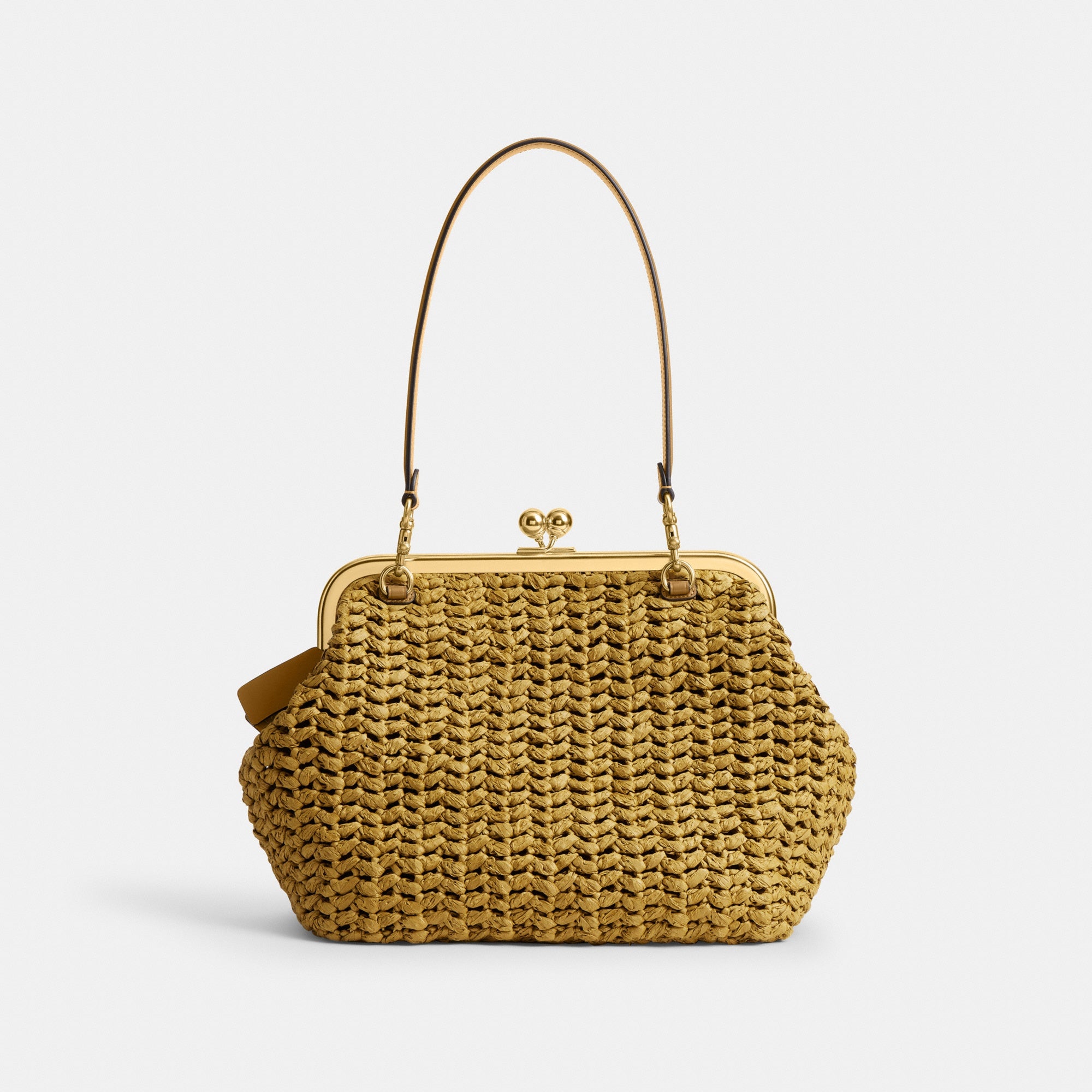 Kisslock Frame Bag 27