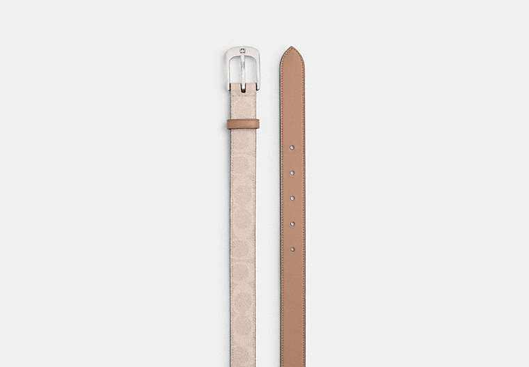 C Harness Buckle Belt, 25 Mm