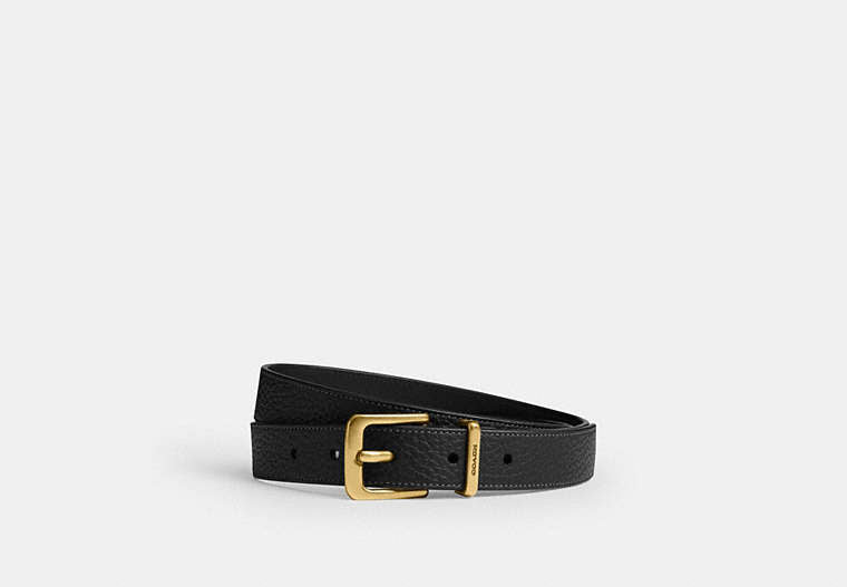 Harness Hasp Buckle Belt, 25 Mm
