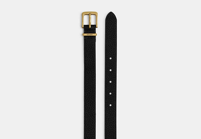 Harness Hasp Buckle Belt, 25 Mm