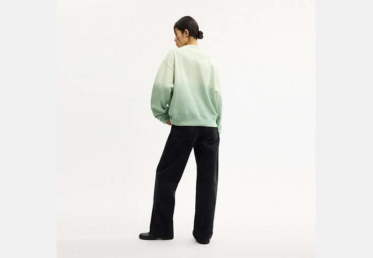 Ombre Sporty Crewneck Sweatshirt In Organic Cotton