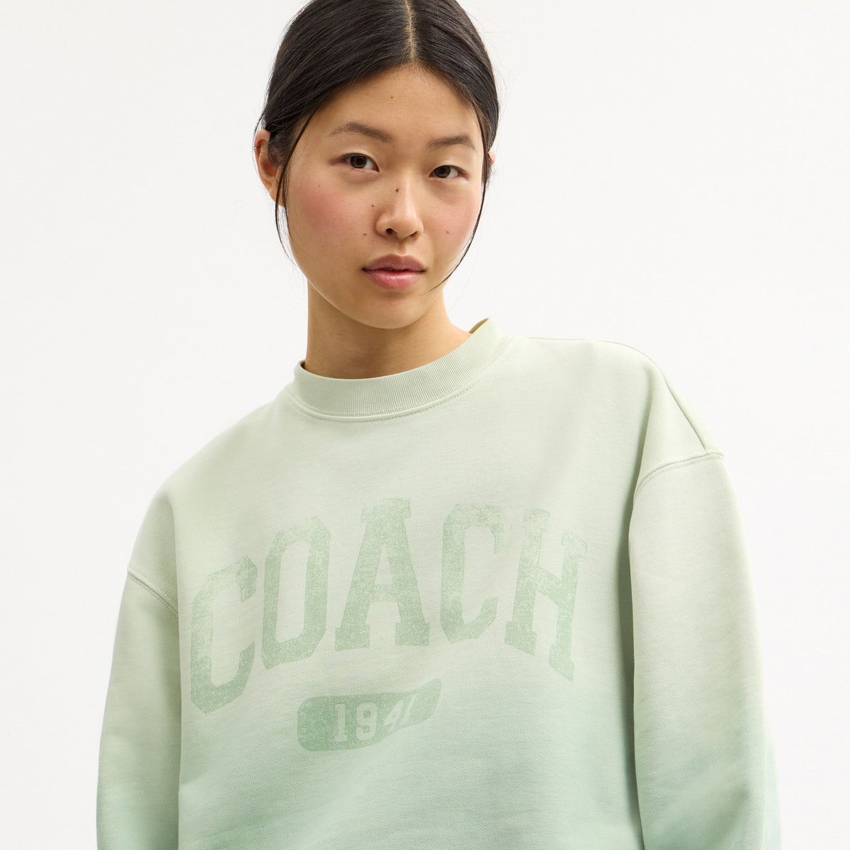 Ombre Sporty Crewneck Sweatshirt In Organic Cotton
