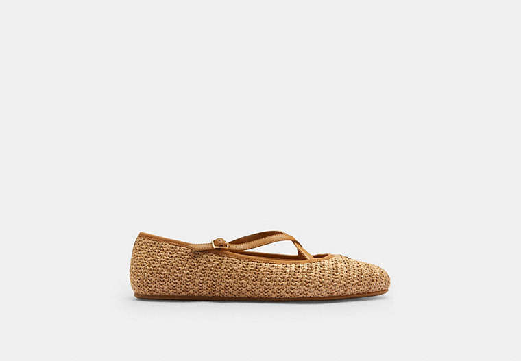 Phoebe Ballet Flat