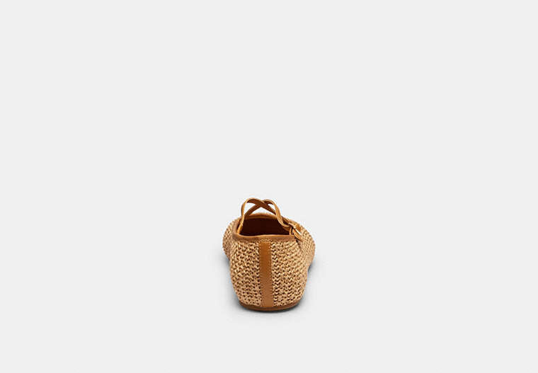 Phoebe Ballet Flat