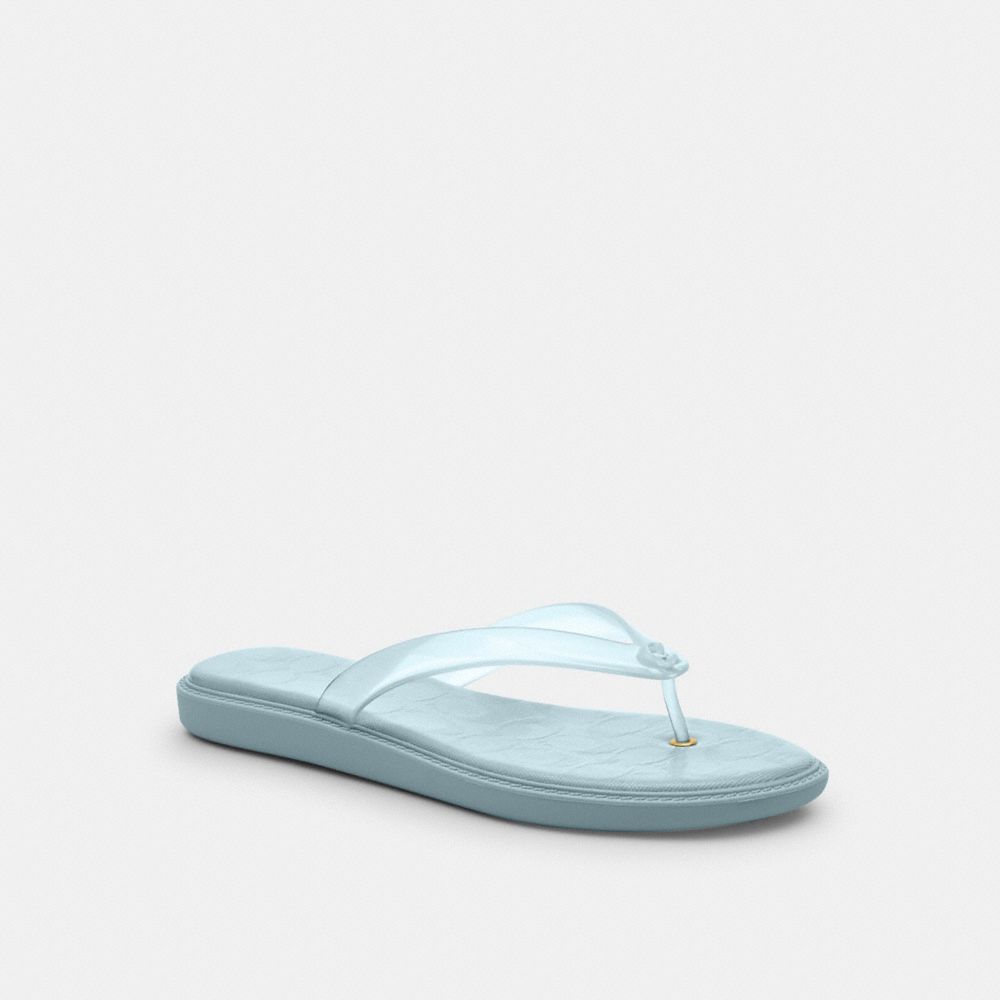 Jelly Flip Flop In Signature
