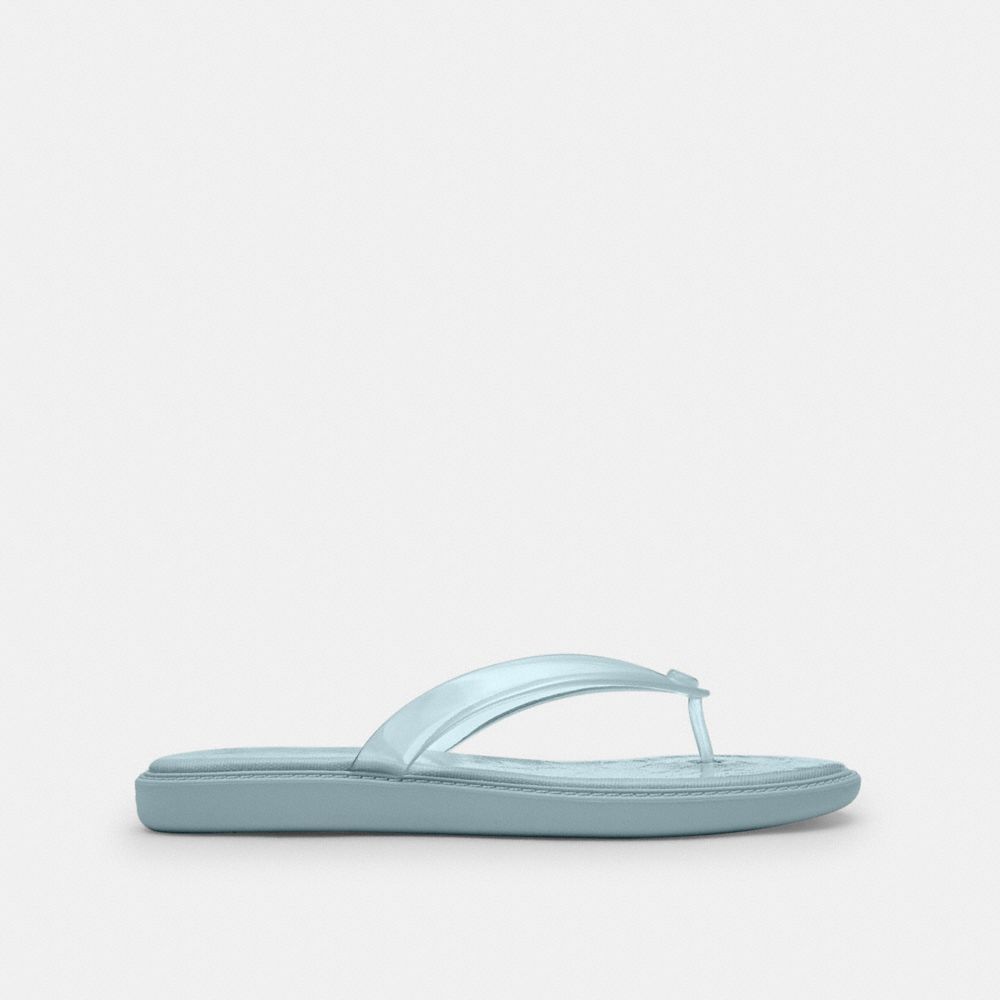 Jelly Flip Flop In Signature