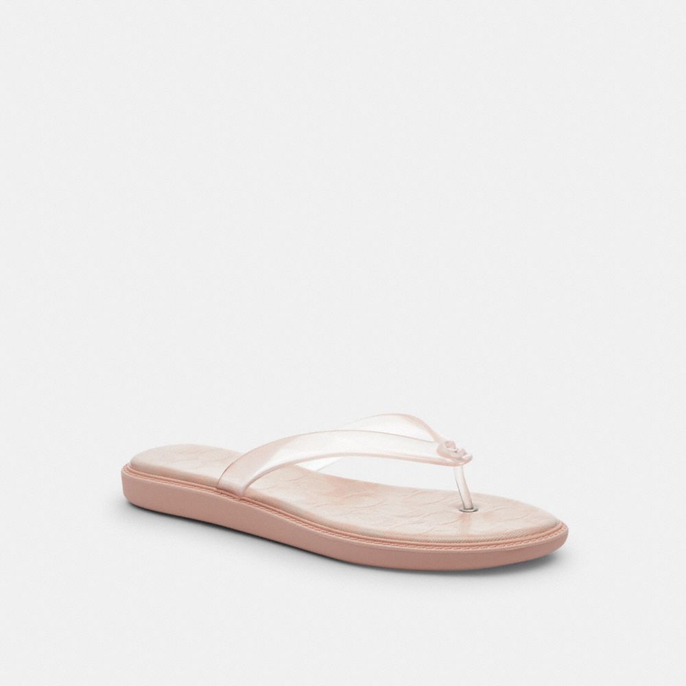 Jelly Flip Flop In Signature