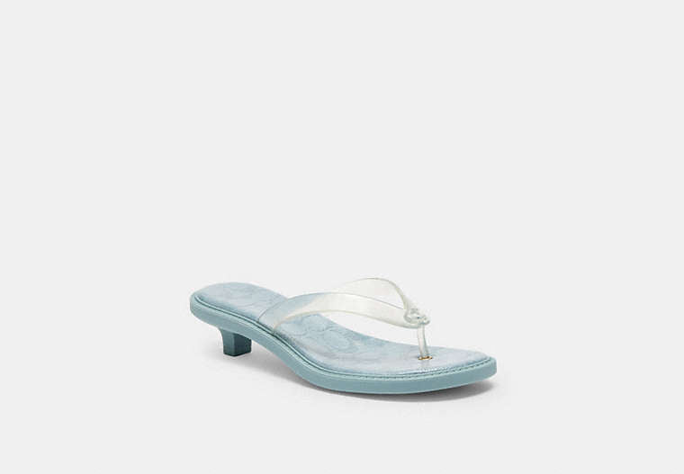 Jelly Thong Sandal In Signature
