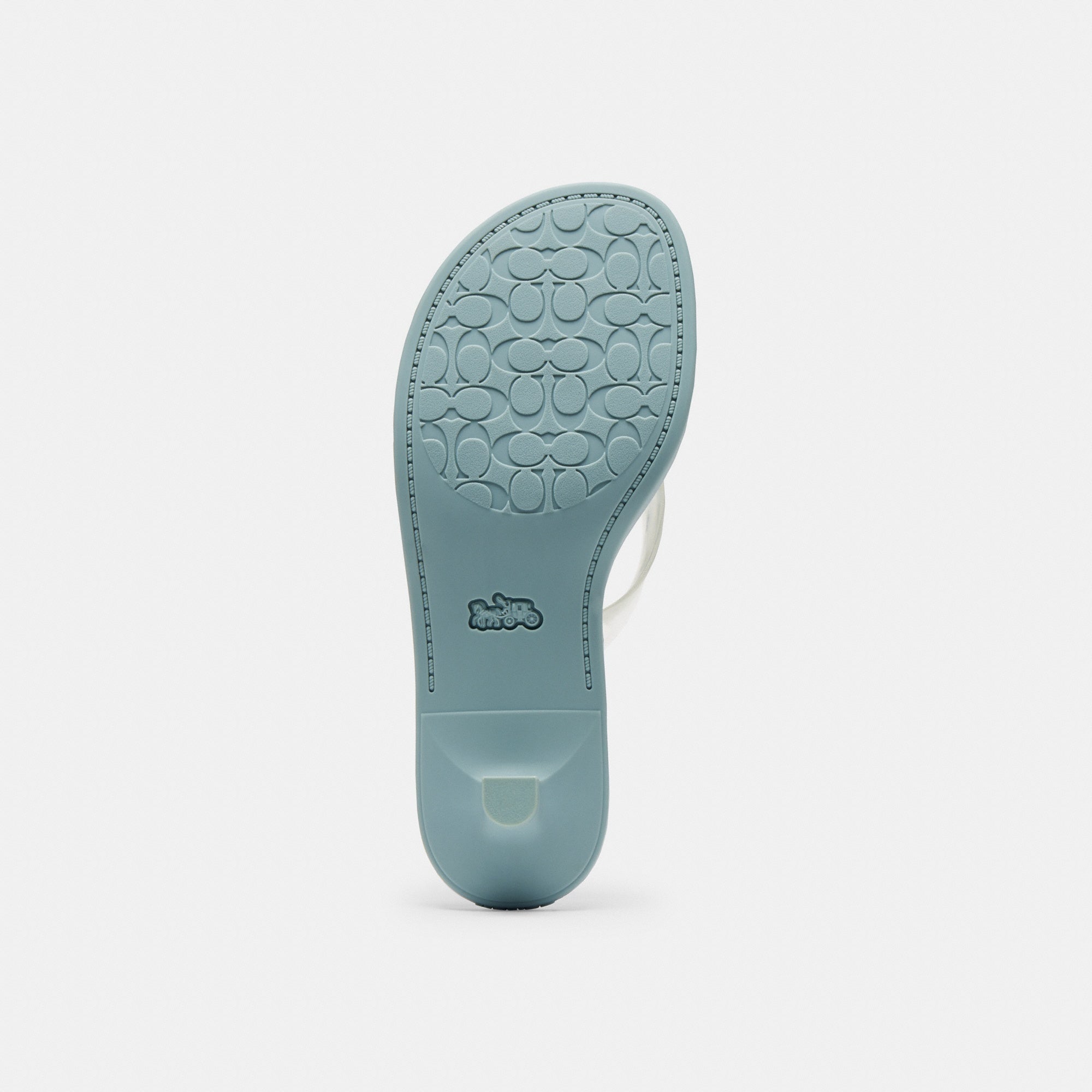 Jelly Thong Sandal In Signature