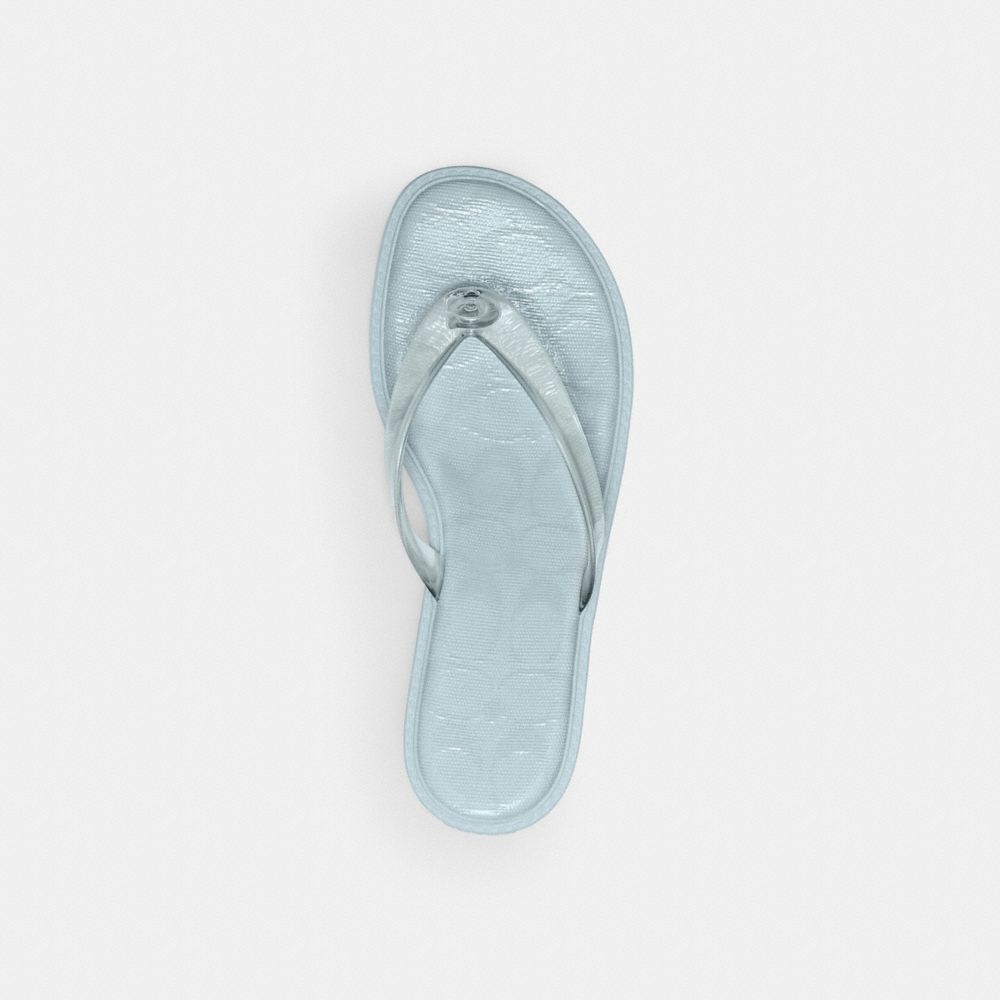 Jelly Thong Sandal In Signature