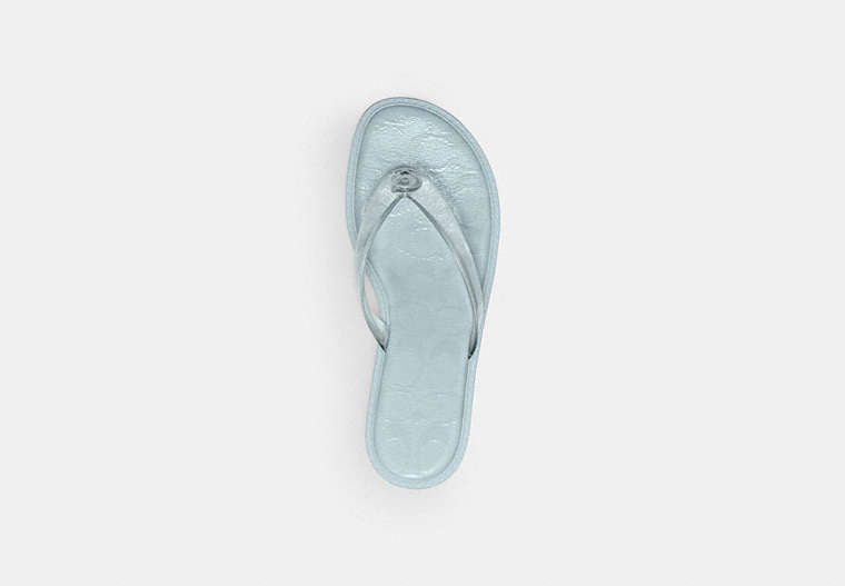 Jelly Thong Sandal In Signature