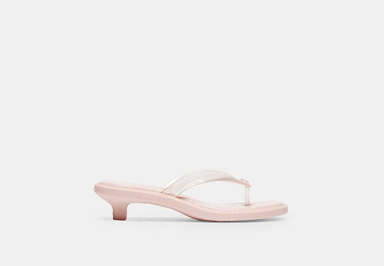 Jelly Thong Sandal In Signature