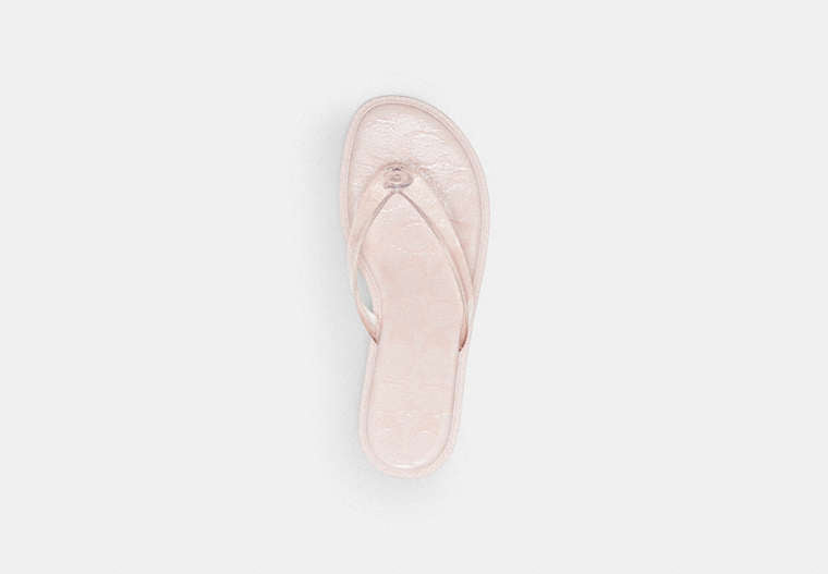 Jelly Thong Sandal In Signature