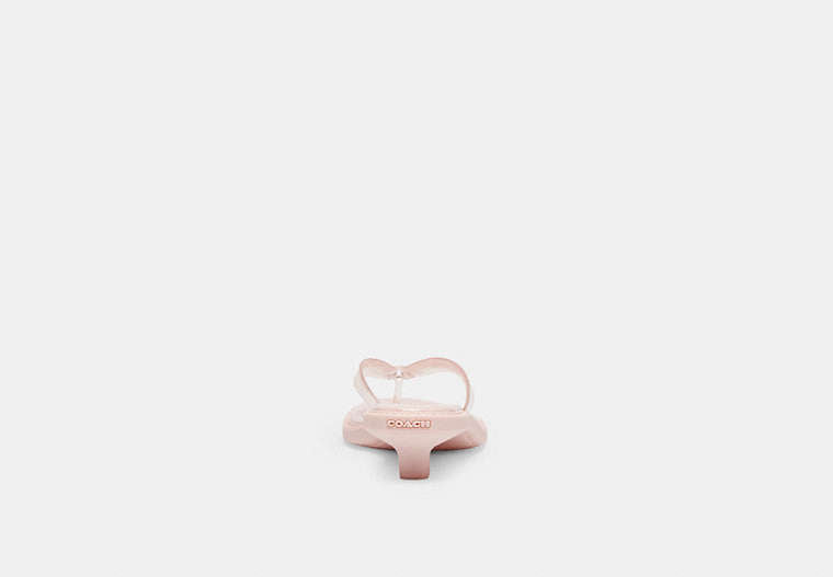Jelly Thong Sandal In Signature