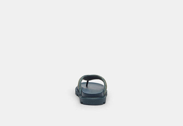 Brynn Thong Sandal In Loved Denim
