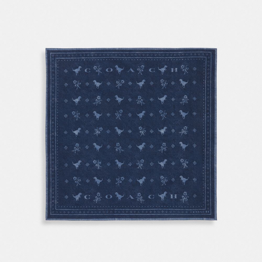 Dino Print Bandana