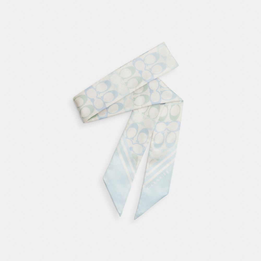 Signature Silk Skinny Scarf
