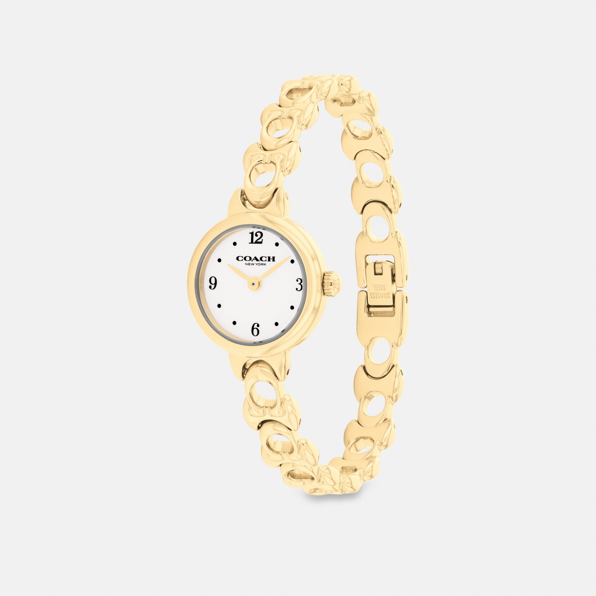 Iris Watch, 22 Mm