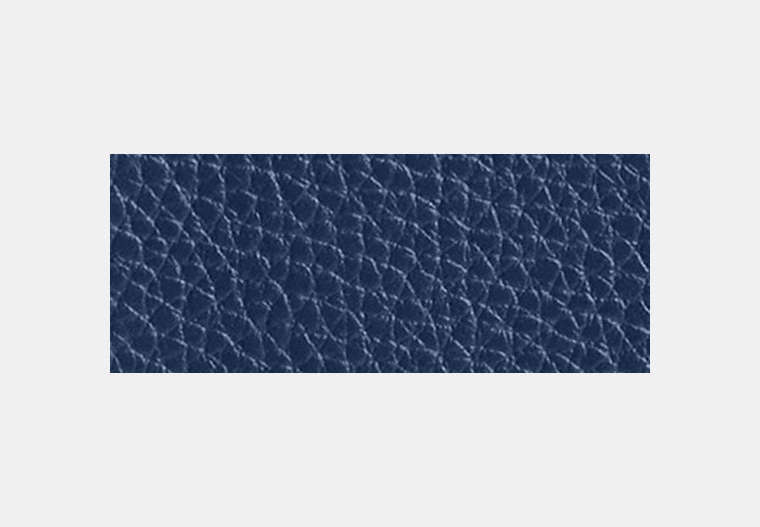 Passport Card Case With Car Print