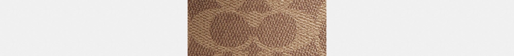 Mini Carey Crossbody Bag In Signature Canvas