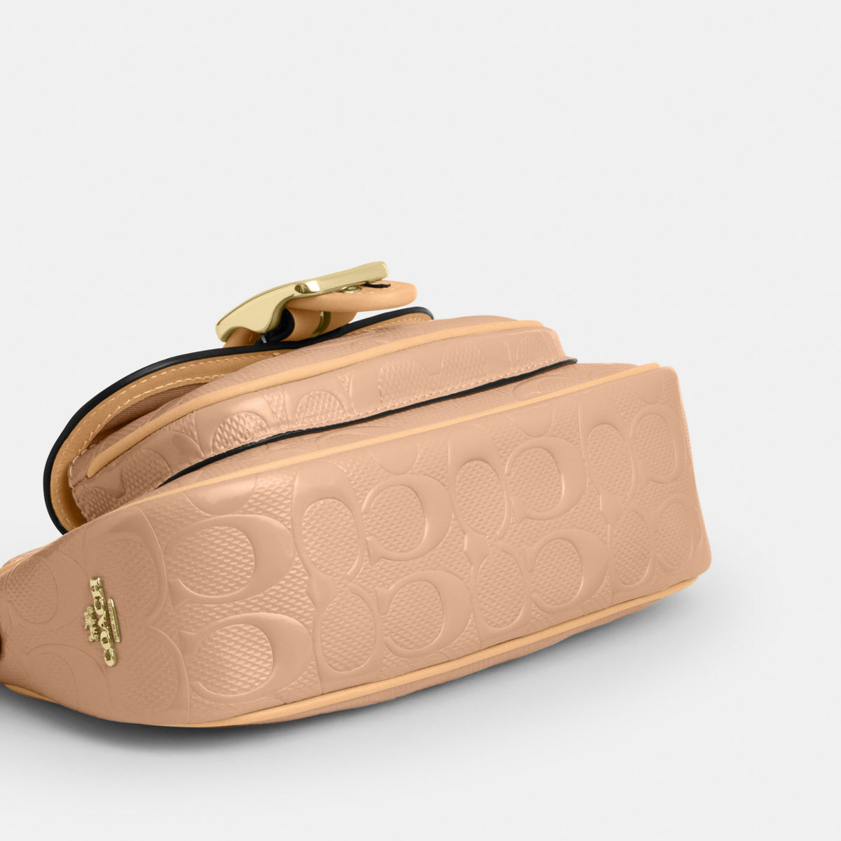 Ashton Mini Shoulder Bag In Signature Leather