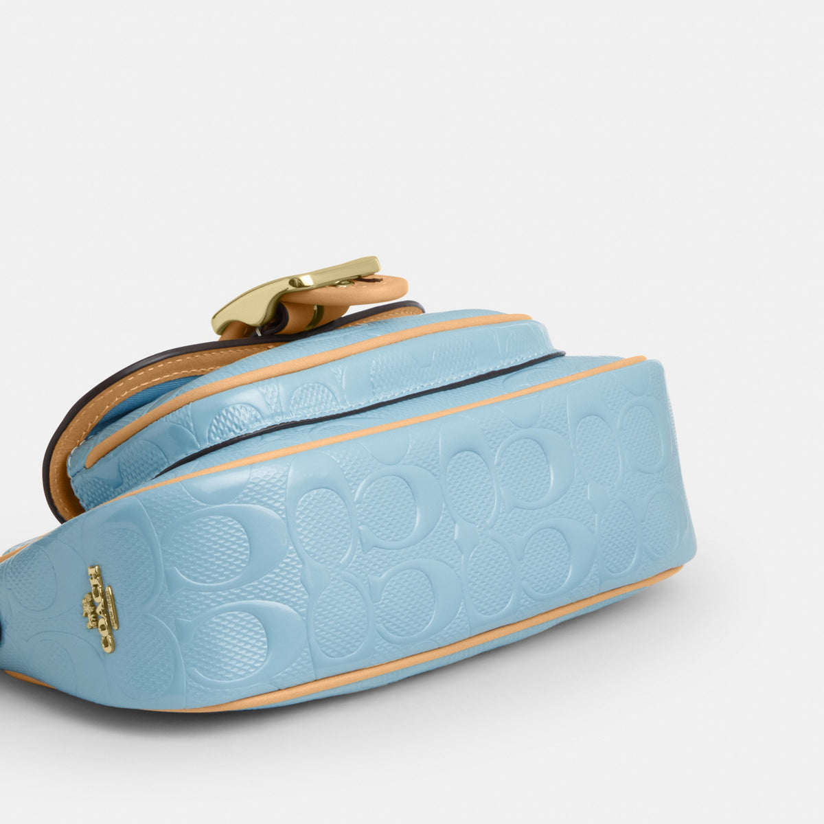 Ashton Mini Shoulder Bag In Signature Leather