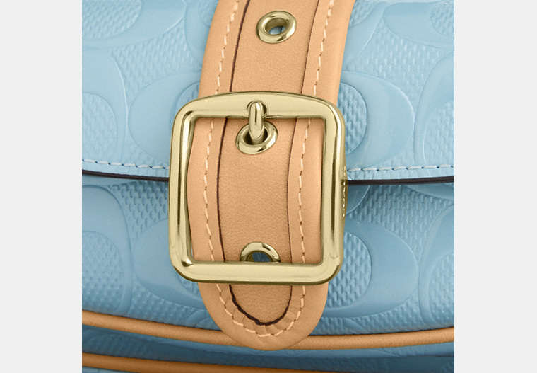 Ashton Mini Shoulder Bag In Signature Leather