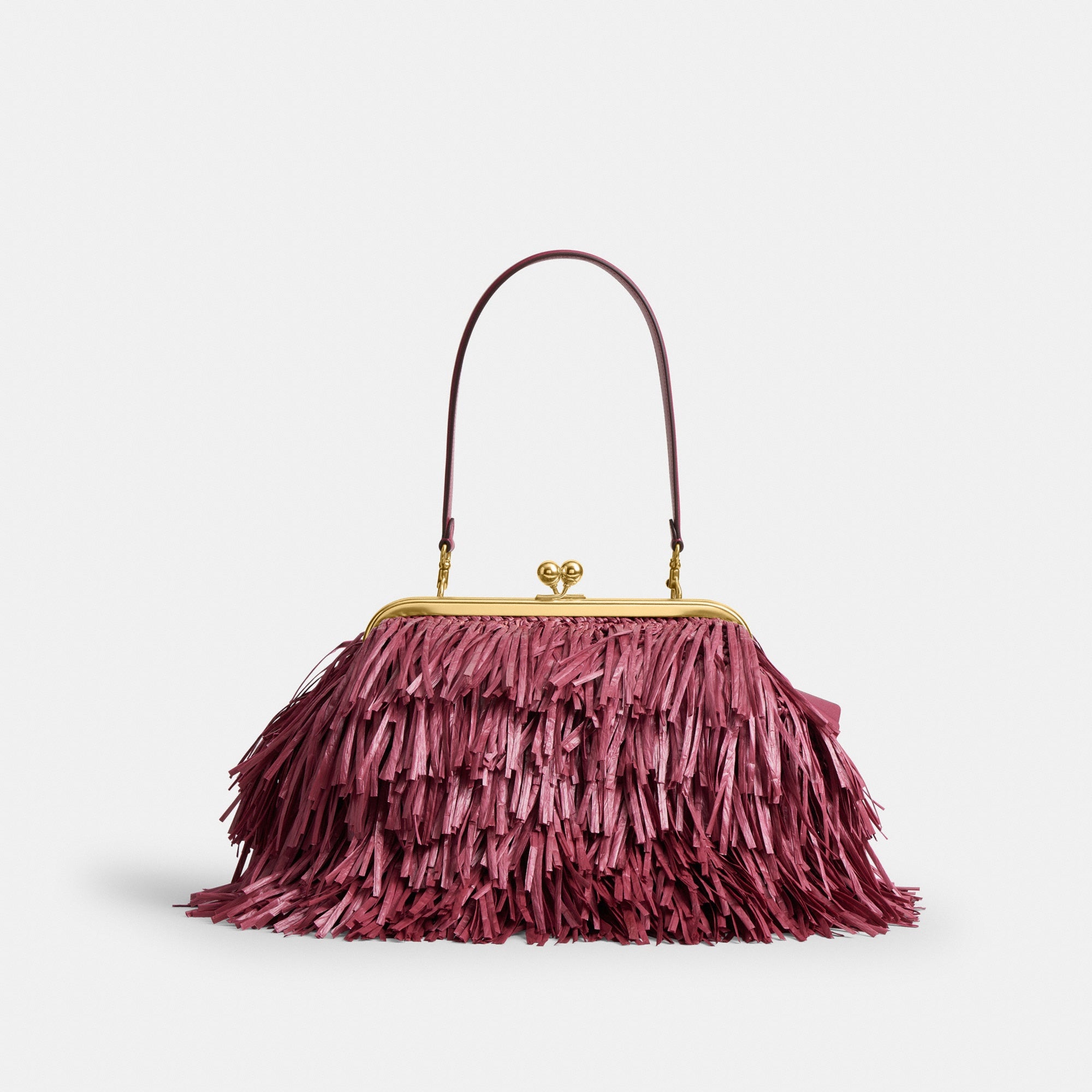 Kisslock Frame Bag 27