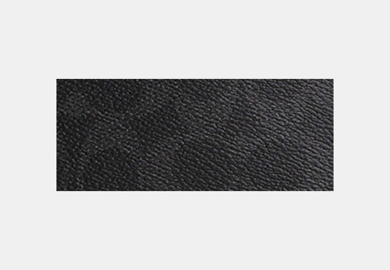 Ray Pack 17 In Signature Canvas