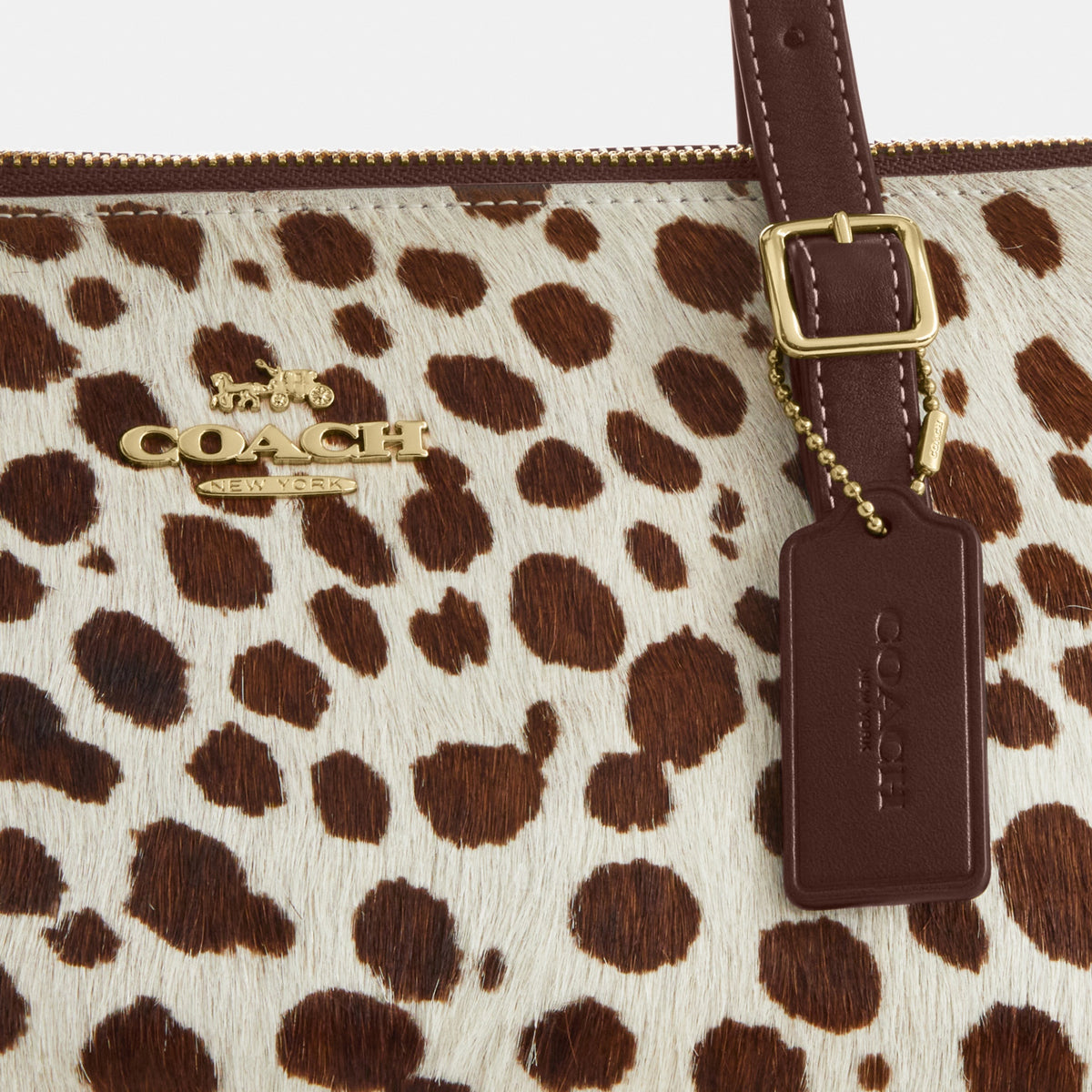Asher Shoulder Bag In Haircalf