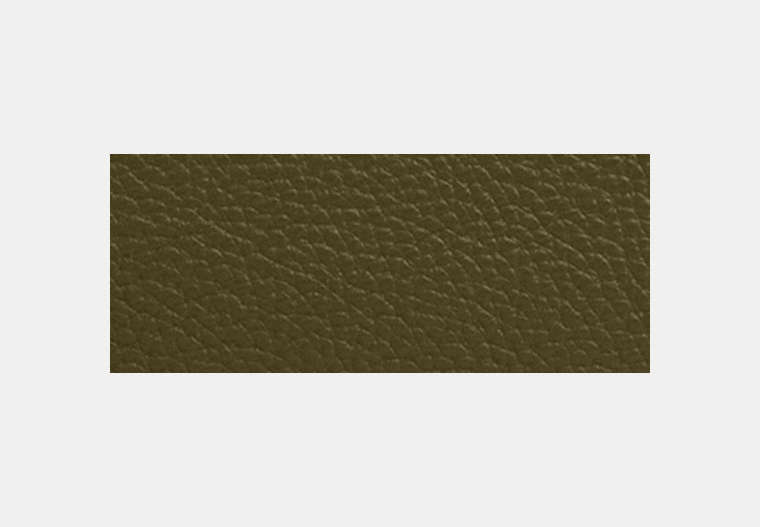 Pouch
