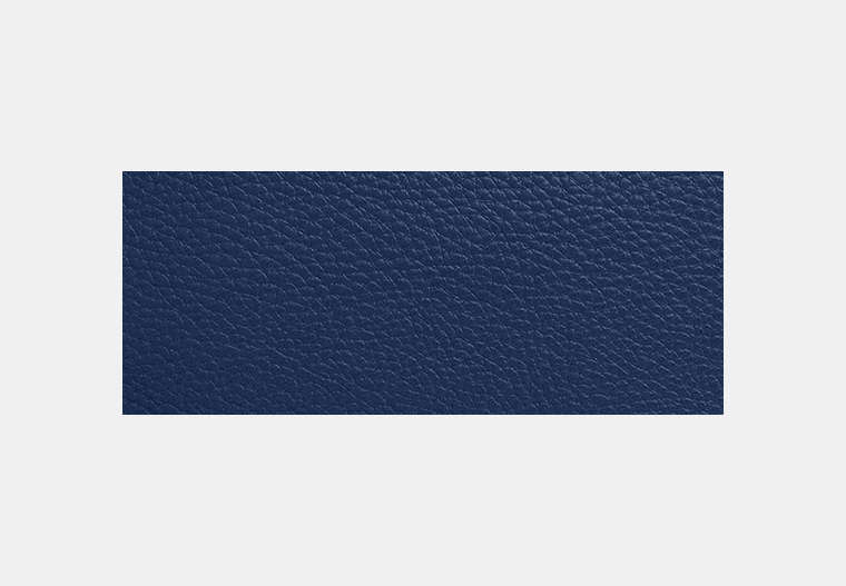 Pouch