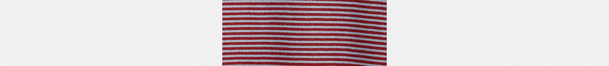 Striped Crewneck Sweatshirt In Organic Cotton