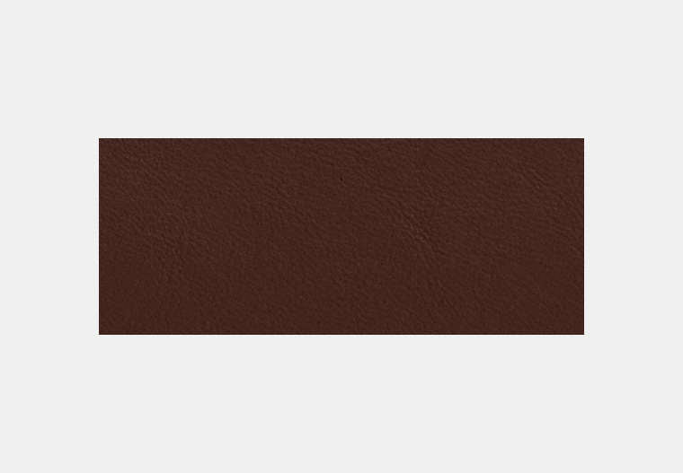 Snap Wallet With Charm