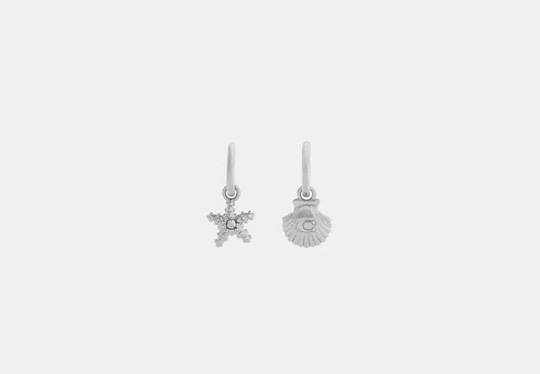 Seashells Huggie Earrings
