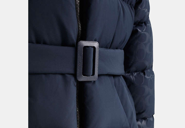 Restored Belted Puffer
