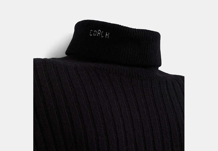 Restored Turtleneck