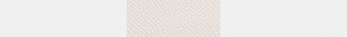 Card Case