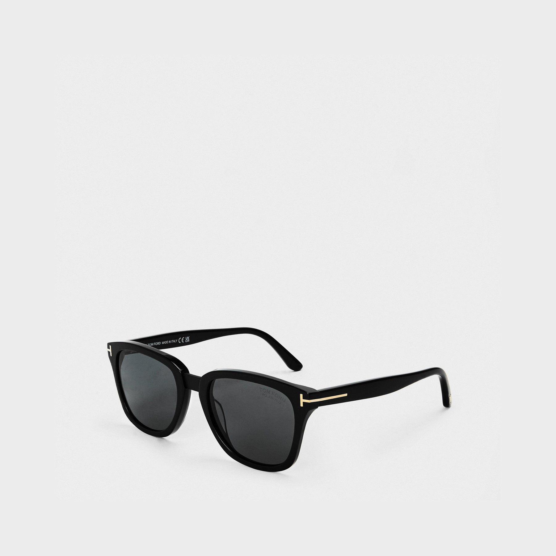 Classic Wayfarer Sunglass
