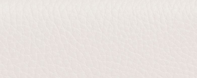 Micro Wallet