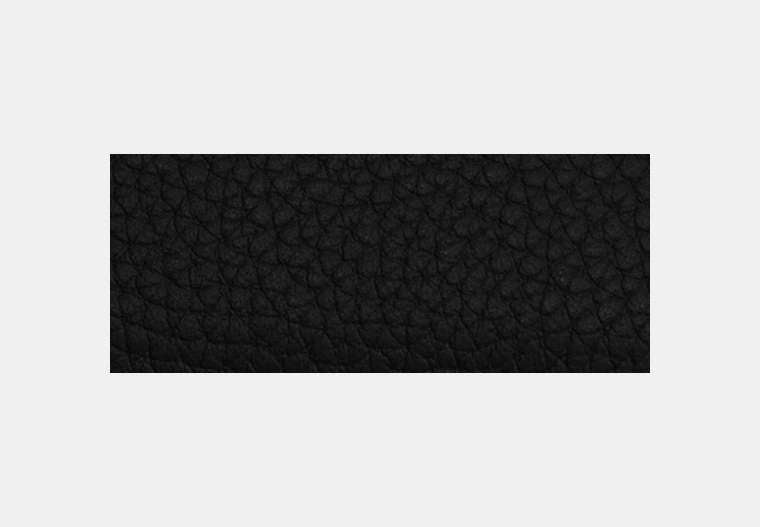 Essential Card Case